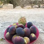 Pensión La Valle Dei Carrubi Scicli