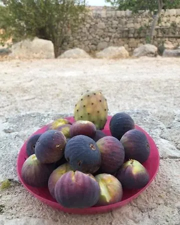 Gæstehus La Valle Dei Carrubi Scicli