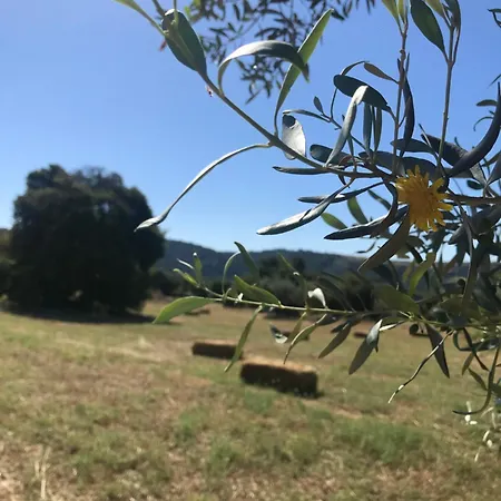 La Valle Dei Carrubi *