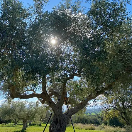 Gæstehus La Valle Dei Carrubi 3*