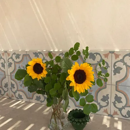 La Valle Dei Carrubi Guest house 3*