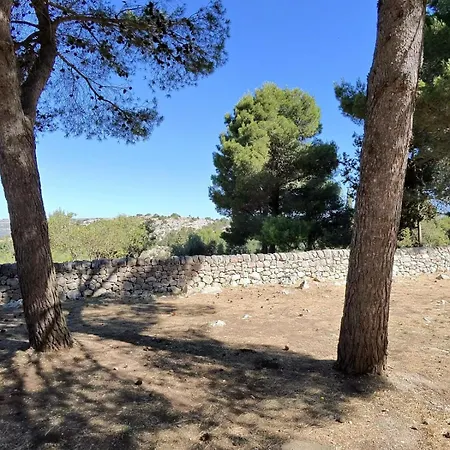 La Valle Dei Carrubi