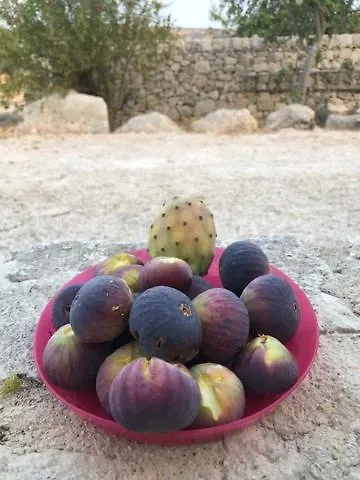 Pensjonat La Valle Dei Carrubi Scicli