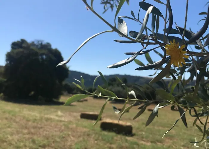 La Valle Dei Carrubi 3*