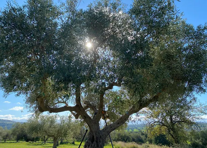 Pensjonat La Valle Dei Carrubi 3*